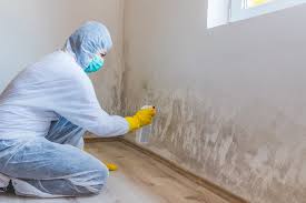 Asbestos and Lead Testing During Mold Inspection in Murphysboro, IL